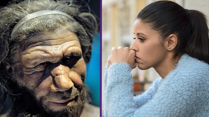 Oorzaak intergenerationeel trauma blijkt emotionele onbeschikbaarheid van Neanderthaler ‘Denny’