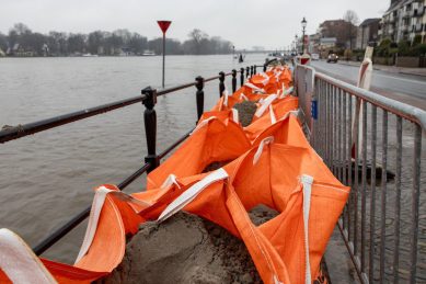 Shutterstock/ Ton Hazewinkel