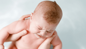 Shutterstock / Irina WS