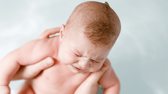 Shutterstock / Irina WS