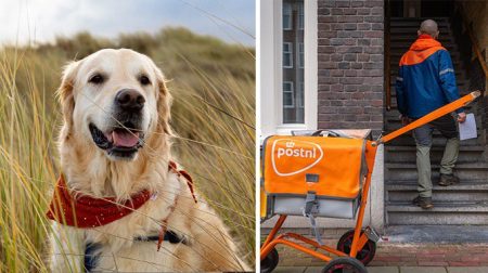 Ben jij meer een hondenmens of een postbodemens?