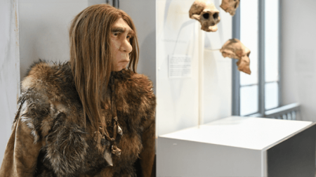 Hippe Neanderthaler in 310.450 v. Chr. droeg al vintage kleding uit 310.430 v. Chr.