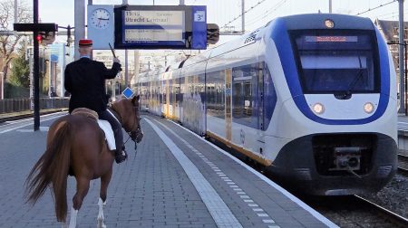 NS wil na wapenstok ook proef met medewerkers te paard