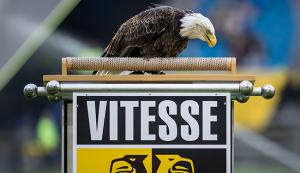 Zeearend Vitesse gaat naar dierentuin in Denemarken cover