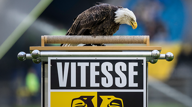 Zeearend Vitesse gaat naar dierentuin in Denemarken cover