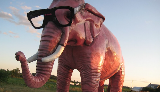 NS van 'aanrijding met roze olifant'